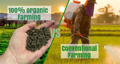 Organic Farming Vs Conventional Farming A Complete Guide