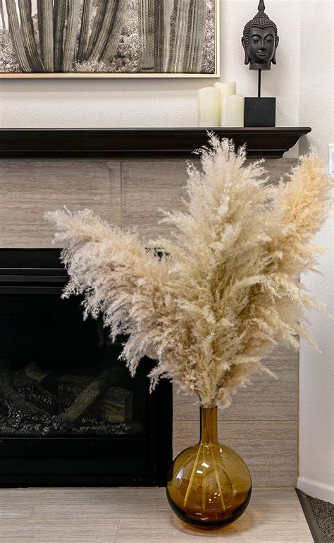 Buy Decor Geek Pampas Grass Large 3 Stems 4ft Tall Pampas Grass For