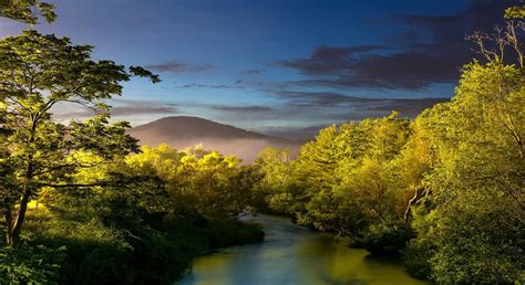 4541254 Trees River Nature Hills Sunset Shrubs Landscape