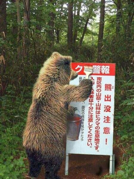 《創意熊出沒注意》在加拿大這方面的名產應該很好買吧？ 宅宅新聞