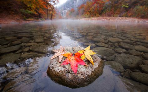 Leaves River Rocks Stones Autumn Wallpapers Hd Desktop And Mobile
