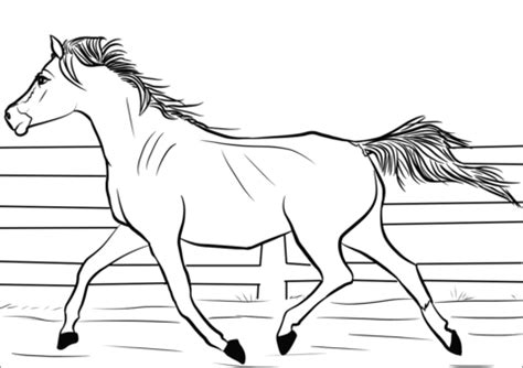 Ausmalbilder mit szenen aus dem alten testament. Arabian Mare coloring page | Free Printable Coloring Pages