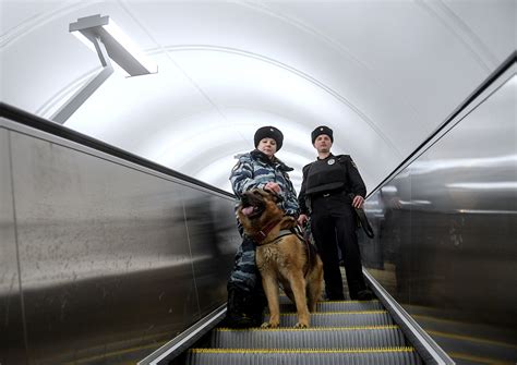 Como Os Cães Detectam Explosivos No Metrô Russia Beyond Br