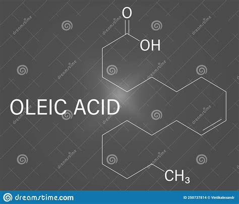 Oleic Acid Or Omega 9 Cis Fatty Acid Skeletal Formula Stock Vector