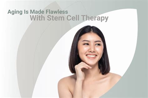 Application Of Stem Cell Technology In Anti Aging Danai Medi Wellness