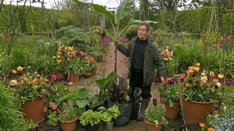 Gardeners World 2021 Episode 11 Hdclump Gardeners World 2021