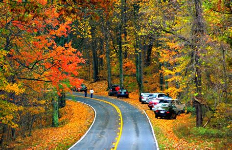 Ride The Sky Along Skyline Drive Rving With Rex