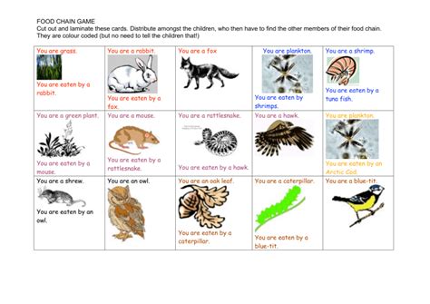 Food Chain Game