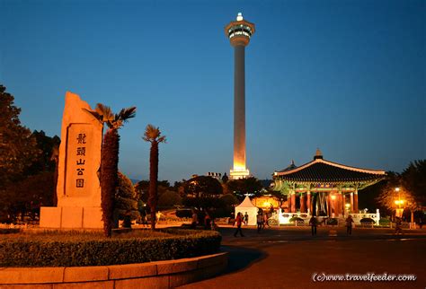 Travel Guide To Yongdusan Park And Busan Tower
