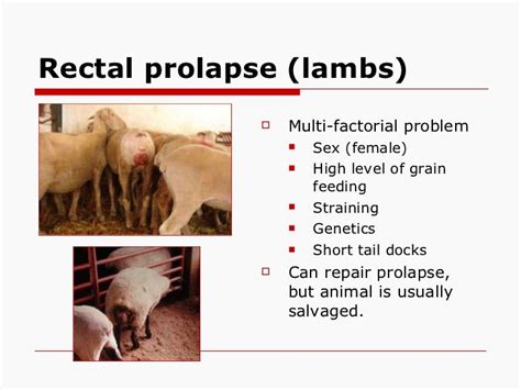 Assessing Sheepgoathealth