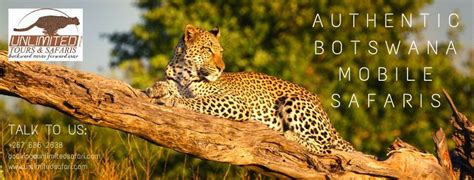 Authentic Private Mobile Botswana Safari Unlimited Safaris