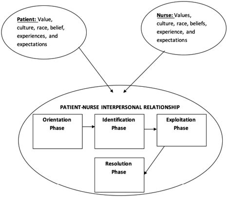 Orientation And Assessment Phases In Nursing 2283 Words Essay Example