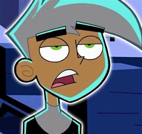 Aesthetic Danny Phantom Matching Pfp