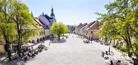 Novo Mesto Travel Guide 2023 Things To Do What To Eat And Tips