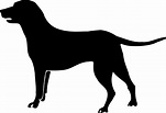 Collection of Group Of Dogs PNG Black And White. | PlusPNG