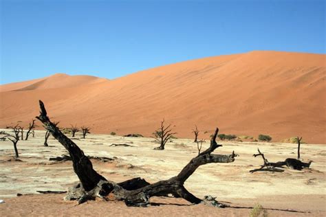 Landscapes Of Namibia Baldhiker