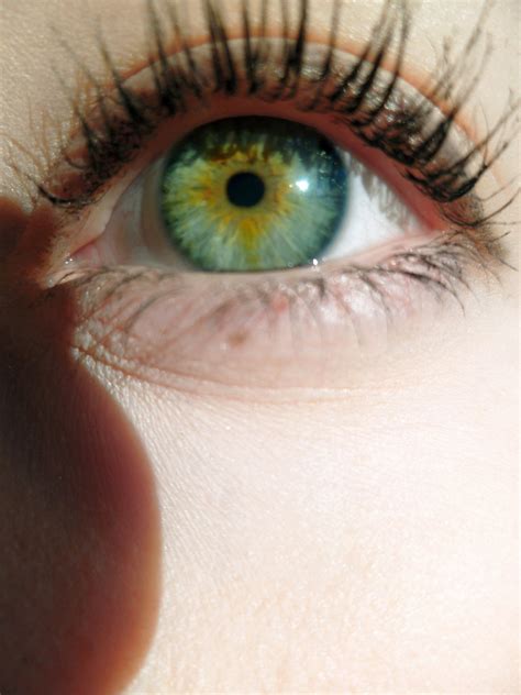 Blue Eyes Central Heterochromia Ettartdesign