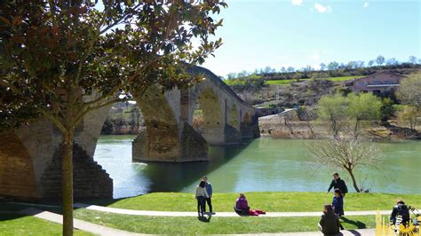 Puente La Reina Navarra Confluencia De Caminos