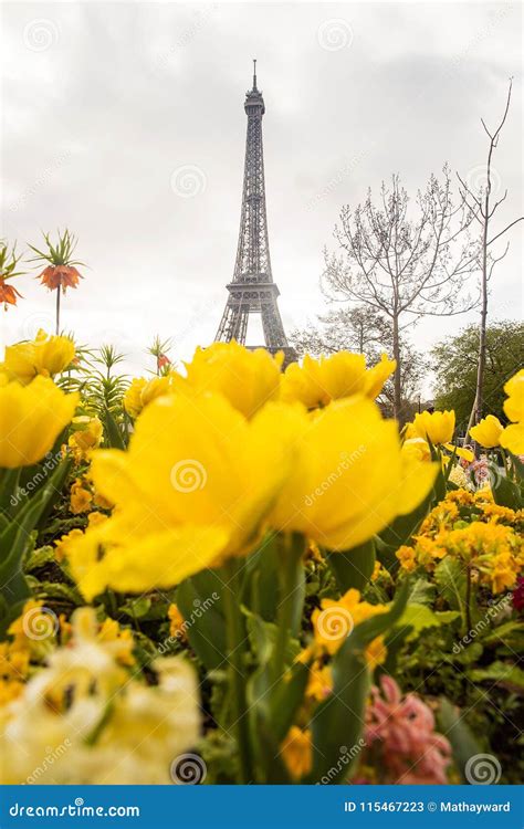 Beautiful Spring Flowers Near The Eiffel Tower In Paris France Stock