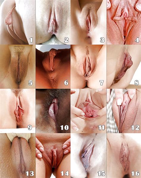 Diffrent Shapes Of Vaginas Xxx Porn