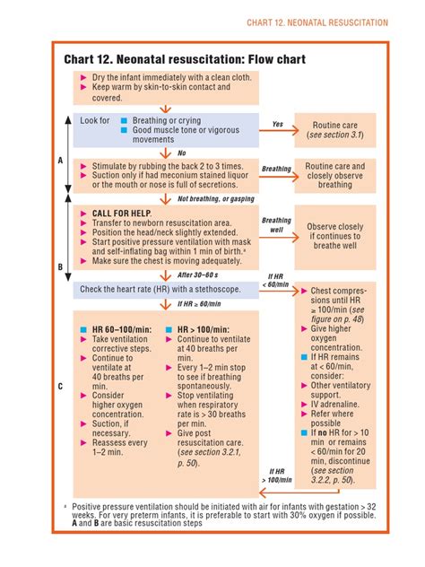 Neonatal Resuscitation Program Flow Chart