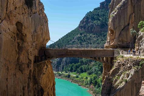 Descubre Málaga Y Ronda Sus Imprescindibles Vipealo