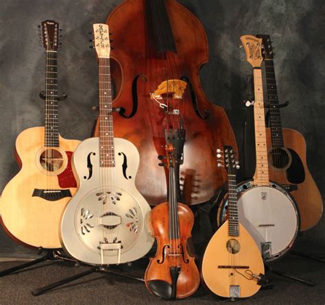 Acoustic Instruments Bergsten Music Co