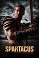 Blessed are the Geeks: Spartacus: Blood and Sand