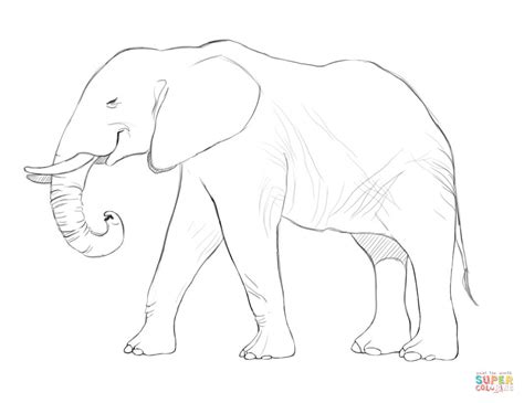 Here are some great printable images of elephants, much as they appear in the wild (well, at least as much as they can look when converted into a coloring page). Realistic Elephant Drawing at GetDrawings | Free download