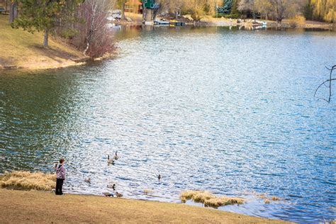 Shannon Lake Walk 6 Melbaczuk Flickr