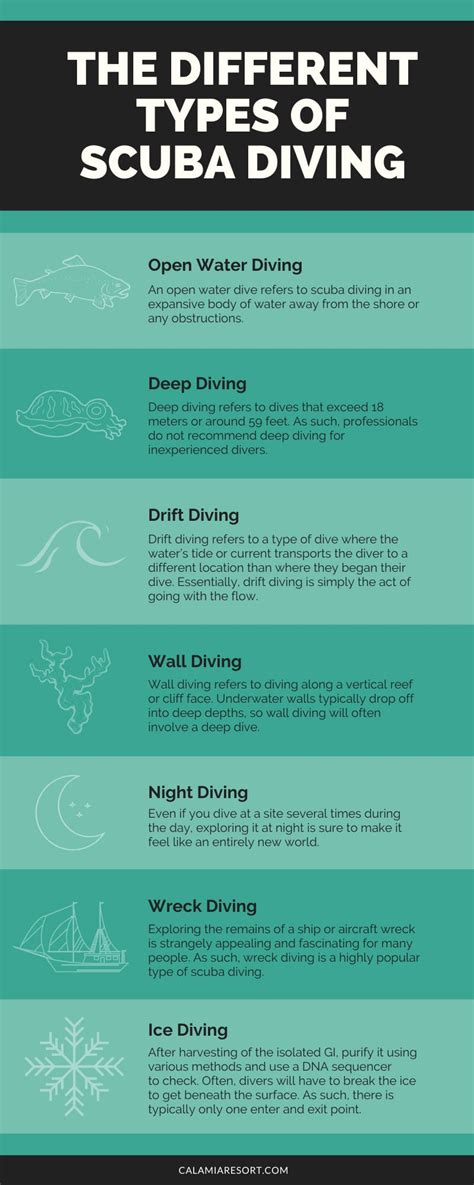 The Different Types Of Scuba Diving