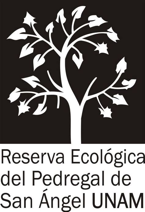 El Logo De La Repsa Representa Al Palo Loco Planta Importantísma Del