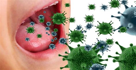 Mouth Bacteria Oral Herpes A Diseases You Need To Prevent
