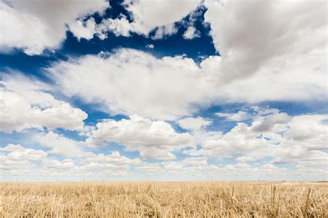 Download Clouds In Wheat Field Royalty Free Stock Photo And Image