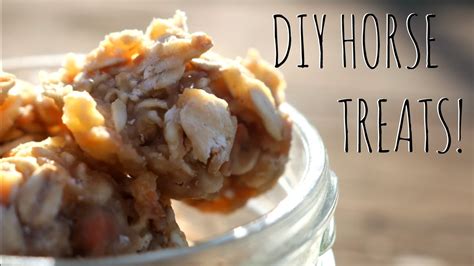 Diy Homemade Horse Treats W Honey And Applesauce Youtube