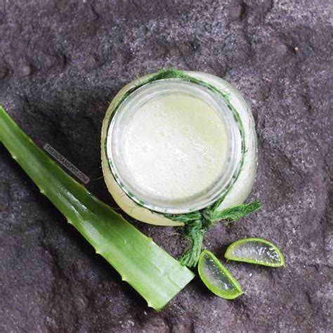 How To Make Fresh Aloe Vera Gel And Juice At Home Howtomakescrubathome