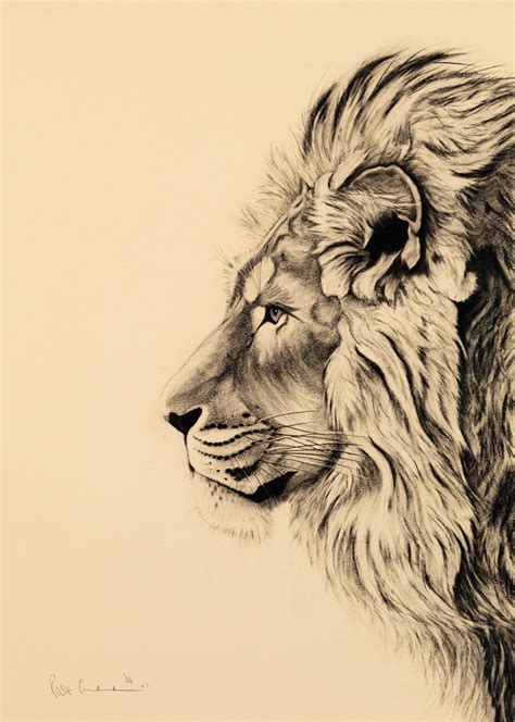 Pin By Steve Joste On Drawing Animals And Creatures Lion Art Tattoo