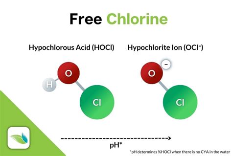 Chloramine Vs Chlorine