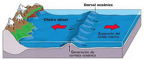 Dorsal Oceánica Dorsales Oceanicas Características De Geología