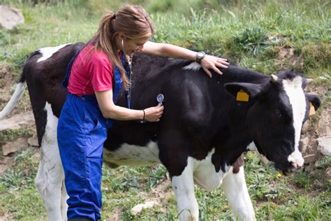 Animal Health And Welfare Idf Idf Is The Leading Source Of Scientific