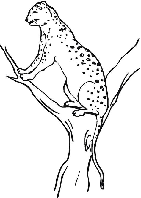 What kept to perform is simply just going to a internet site that contains activity coordinator sheet that can be imprinted for free. Free Printable Cheetah Coloring Pages For Kids