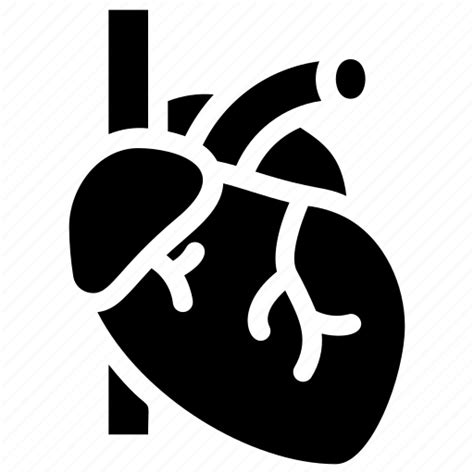 A Heart Anatomy Biology Cardiology Human Organ Surgery Icon
