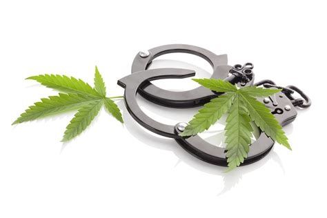 Cannabis Arrest Kight On Cannabis