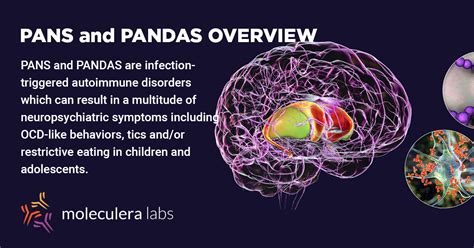 Fb Pans Pandas Overview2 Moleculera Labs