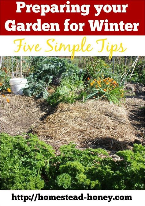 Preparing Your Garden For Winter Gardening Tips Lovely Preparing A Ve