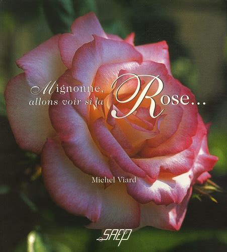 Mignonne Allons Voir Si La Rose De Michel Viard Grand Format