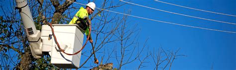 Who Is Responsible For Trimming Trees Near Power Lines