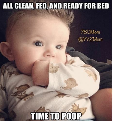 25 Best Looking For Funny Baby Memes Clean 2019 Daniel Qually