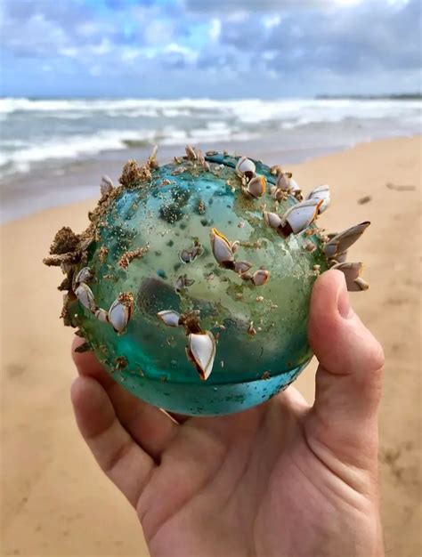 35 Fascinating Things People Have Found On The Beach