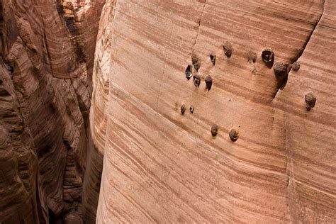 Best Time To See Zebra Slot Canyon In Utah 2024 When To See Roveme